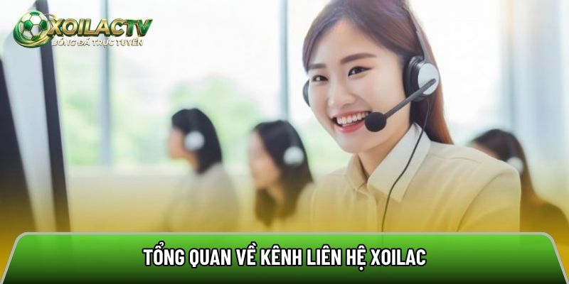 Giới thiệu đôi nét về bộ phận liên hệ Xoilac