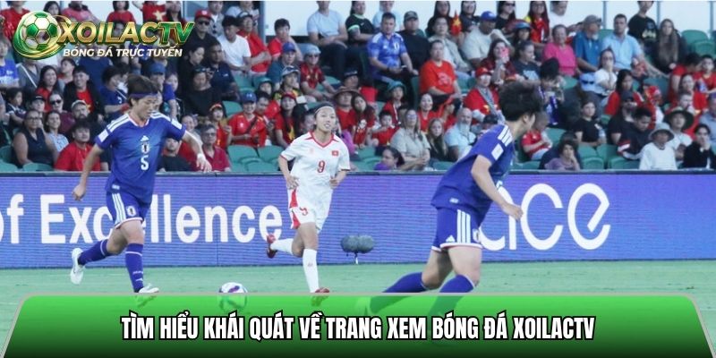 Tìm hiểu khái quát về trang xem bóng đá Xoilactv